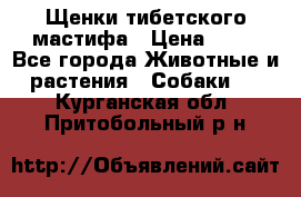 Щенки тибетского мастифа › Цена ­ 80 - Все города Животные и растения » Собаки   . Курганская обл.,Притобольный р-н